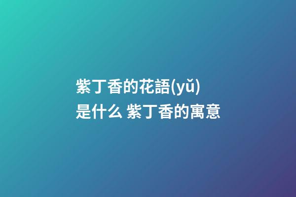 紫丁香的花語(yǔ)是什么 紫丁香的寓意